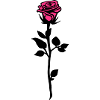 rose_2c
