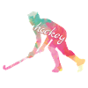 Ice Hockey