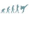 Évolution du karaté