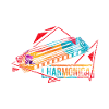 harmonica