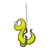 worm