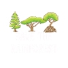 Save The Rainforest