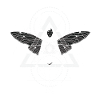 Vitruvian fairy