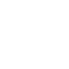 Terrier noir russe