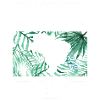 brésil-définition