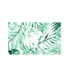 bora-bora-definition