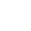 Aye-aye