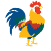 Rooster