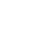 Dinosaur
