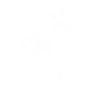 Die mit dem Hund geht