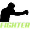 fighter2