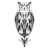 hibou