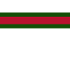Stripes lines green red