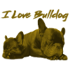 French Bulldog,French Bulldog,Bulldog,Bulldog