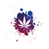 cannabis leaf