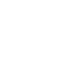 Drone pilot