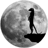 meerkat surikat moon