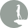 suricate lune