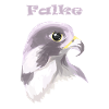 faucon