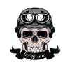 Motorcycle, Skull, Biker, Gift