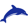 dolphin