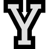 Buchstabe Y (zweifarbig)