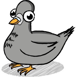 Taube - Herr der Fußgängerzone