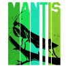 Mantis
