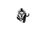 wilderness