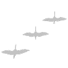 KRANICH STORCHFORMATIONSFLUG ZUGVOGEL