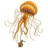 Jellyballoon