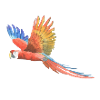 Parrot