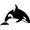 marine animal orca