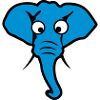 elephant funny animals