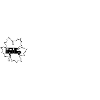 WoMo -1018 - Wohnmobil-Fahrer