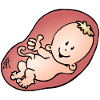 Enceinte - grossesse