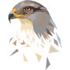 Adler geometrisch Low Poly Adlerkopf