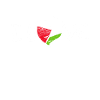 Palestine