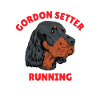 Gordon Setter