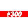 #300