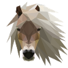 Pferd Pony