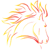 Pferd Wildpferd
