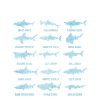 sharks