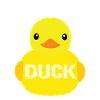 What the duck
