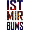 Is Mir Bums