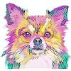 Bunter Hund
