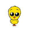 Küken