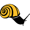snail