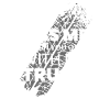 Trucker Truck Truck Truck