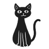 Cat Pets Animals